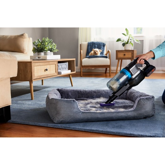 BLACKDECKER BHFEB520D1 handheld vacuum cleaning pet hair from gray pet bed on blue rug in living room.